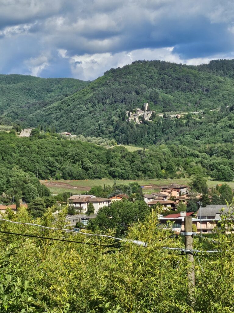 View of Gaiole and Barbischio