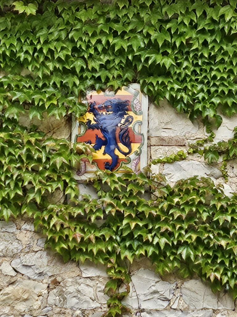 View of the Ricasoli shield
