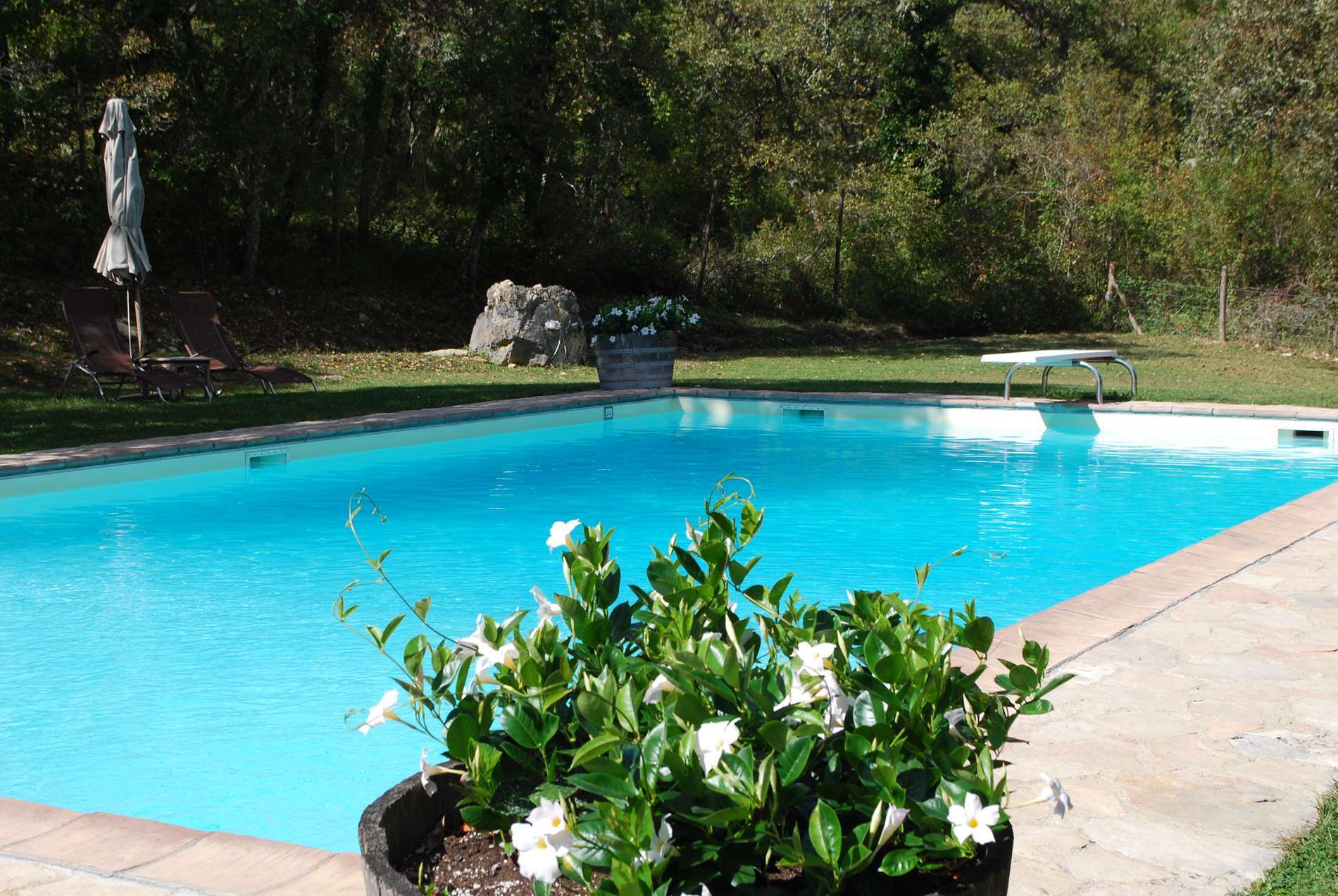 Pool with flowers in the foreground