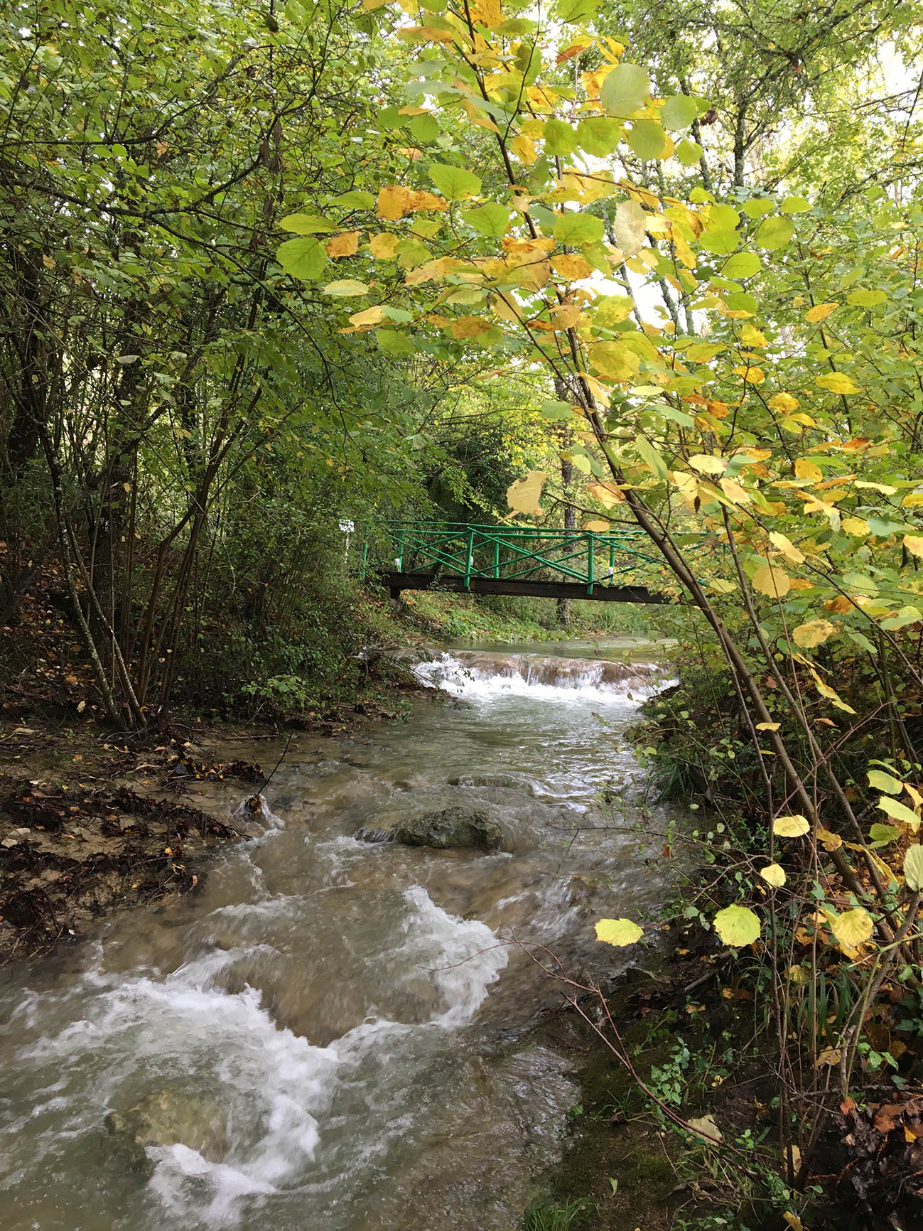 View of the creek and bridge.