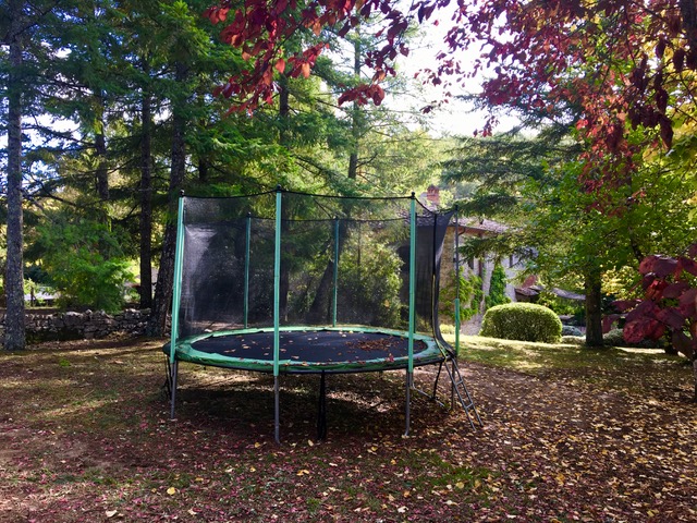 The trampoline